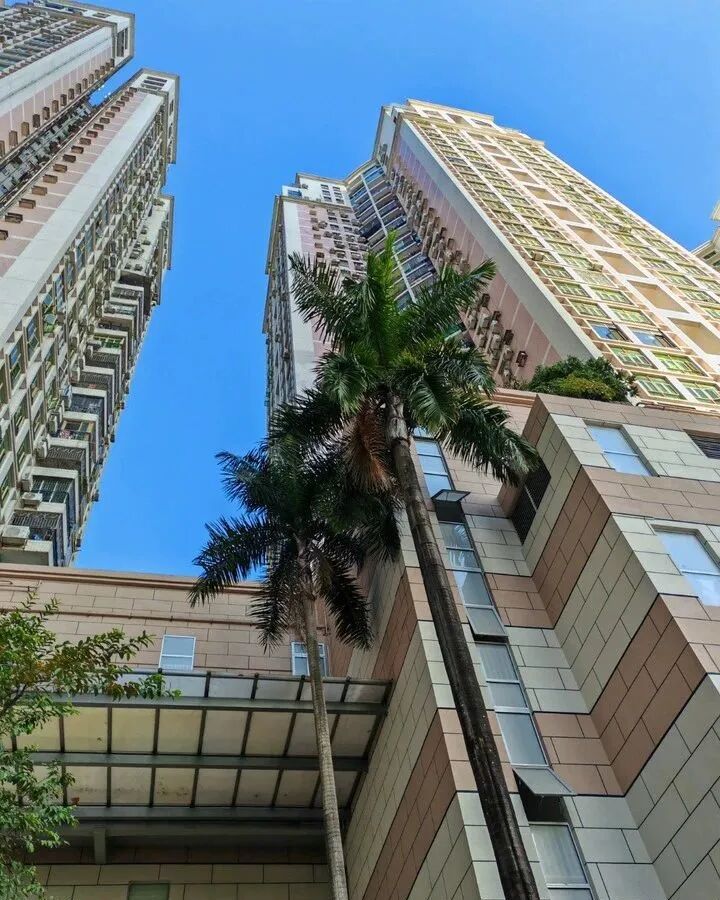 羅湖區都市名園名庭閣C棟10C