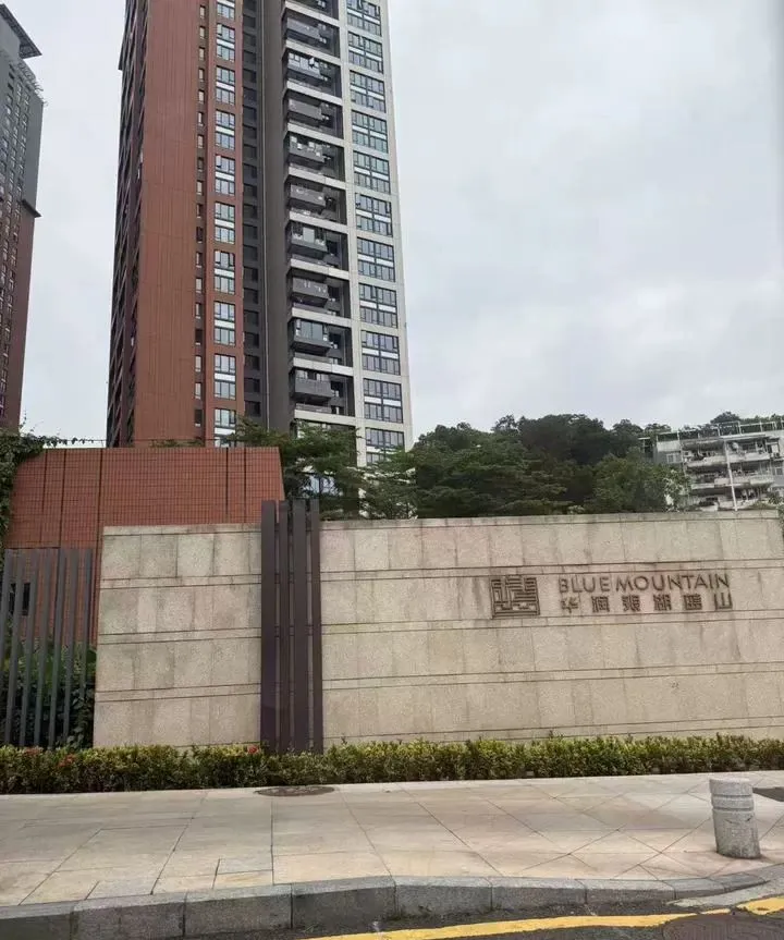 羅湖區藍山潤園10號樓1A